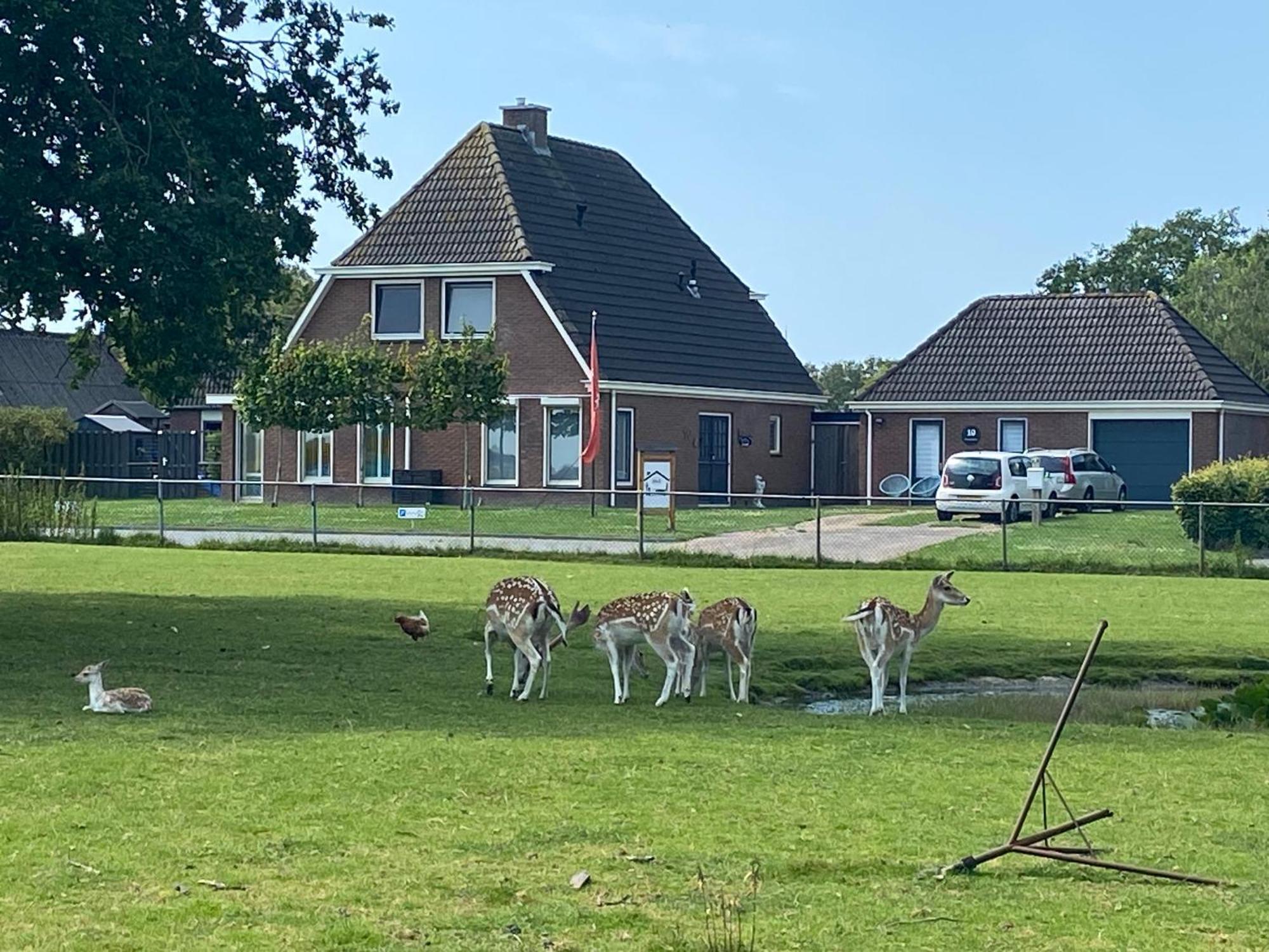 Landelijk Hijken Exterior foto